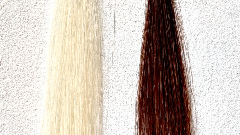 口コミ悪い？】ビーリスエアリーカラーリングフォームの白髪染めは