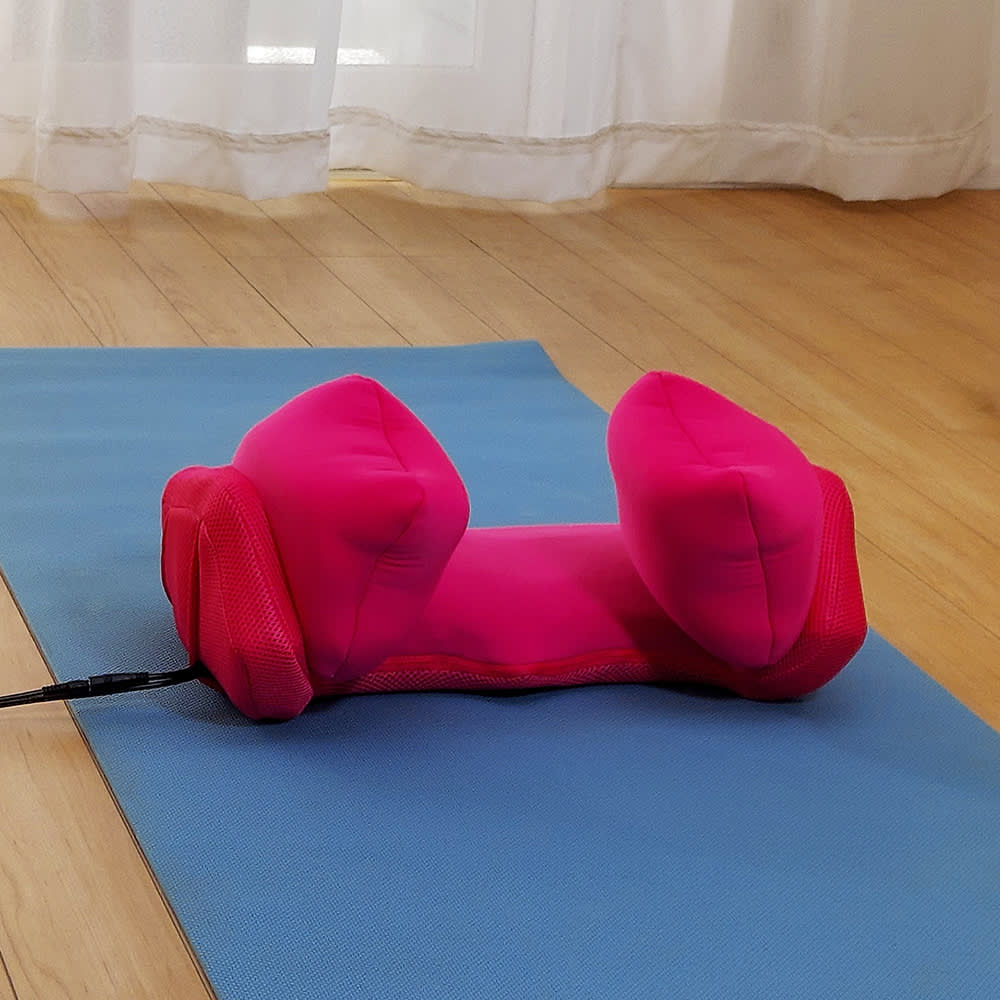 エアプリエ DELUXE（デラックス） 通販 - ディノス