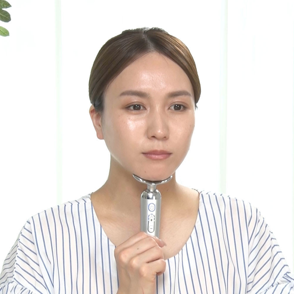 スタイリーフェイス 通販 - ディノス