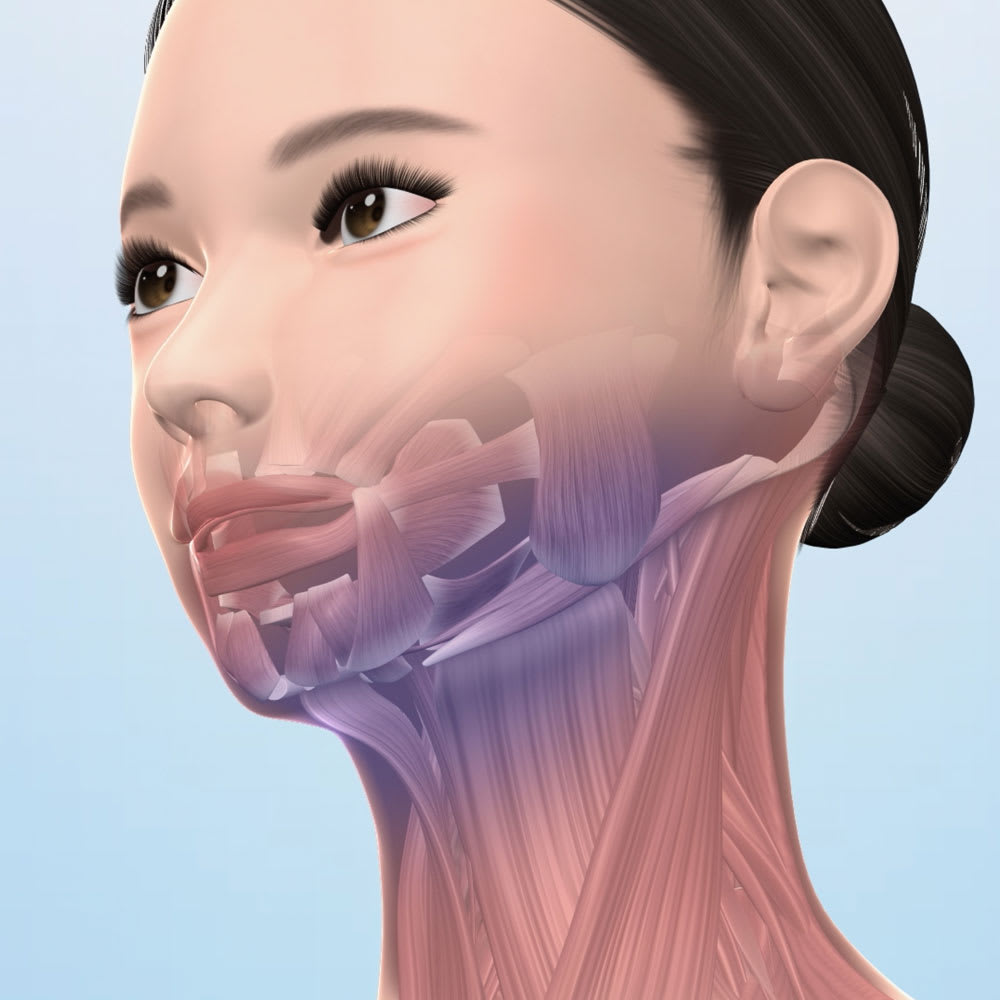 スタイリーフェイス 通販 - ディノス