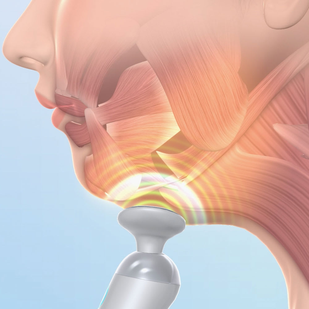 スタイリーフェイス 通販 - ディノス