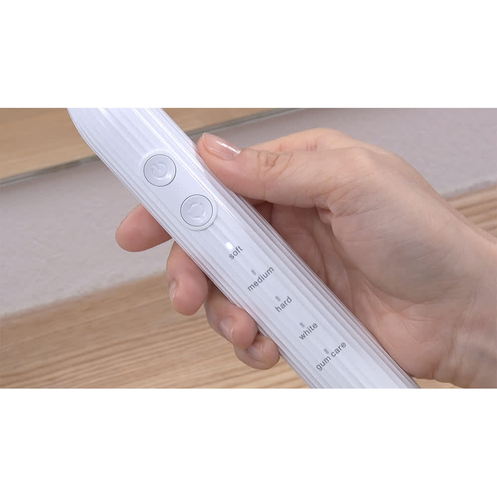 音波振動歯ブラシ シャインピュア 特別セット 通販 - ディノス