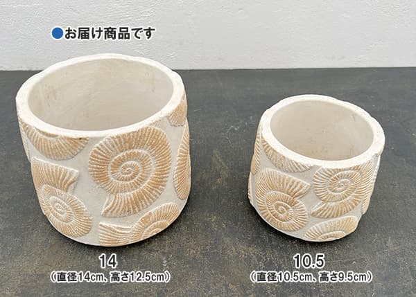 園芸ネット本店｜アンモナイトポット14（45409） の通販【公式】