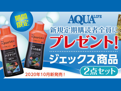 新品】【即日発送】アクアリーフ 3本 フィジー 3本 Old Spice