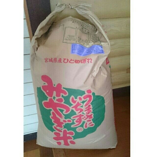 や*え様 坂口一草 坂口一艸 朴若葉梟図 大阪生 工場 中央美術 日本画院