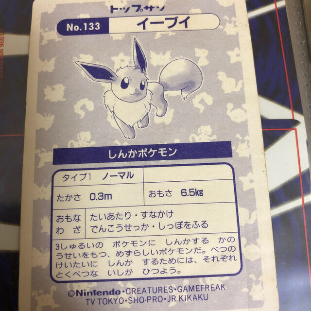 トップサン イーブイ キラの通販 by Mia's Shop｜ラクマ