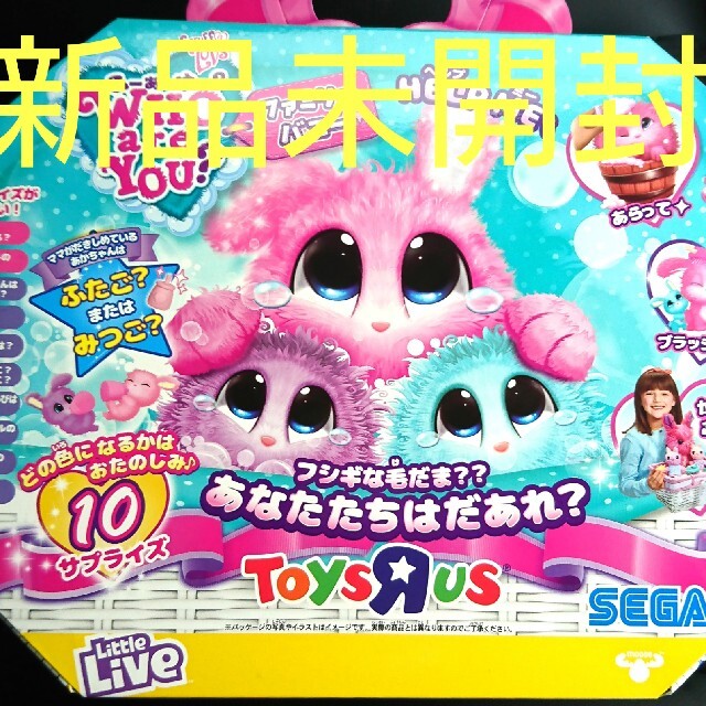 トイザらス - 大人気 フーアーユー ファミリーバニー トイザらス限定