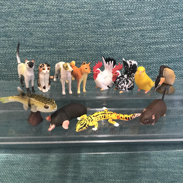 海洋堂：チョコエッグ・チョコQ：日本の動物ペットわがままな天然列島