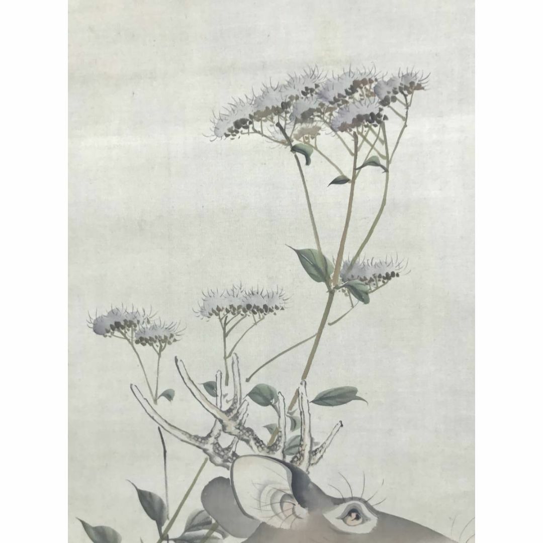 真作/西山芳園/草花鹿図/鹿図/花鳥図/掛軸☆宝船☆AD-494の通販 by