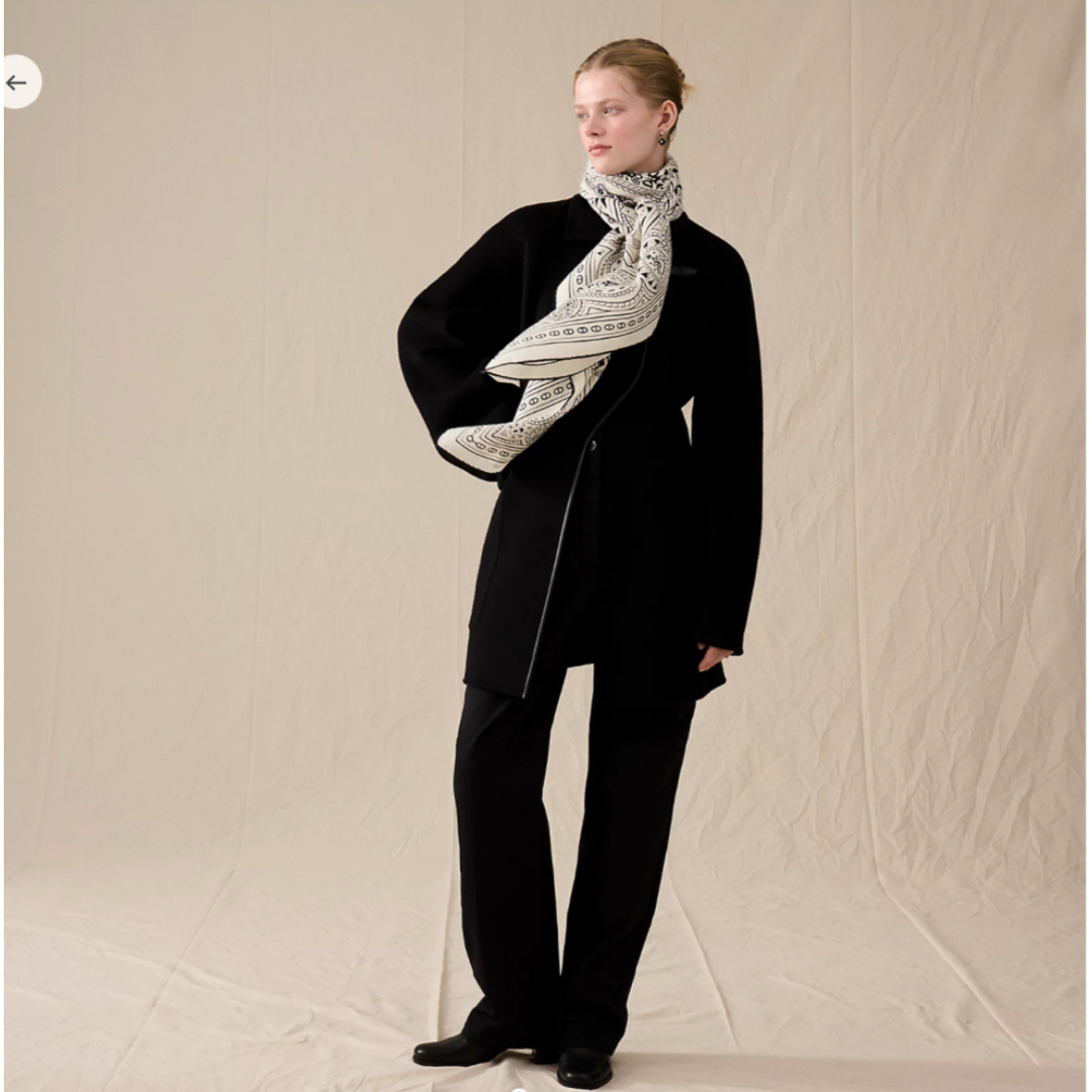 HERMES - 新品タグ付HERMESカレジェアン野村大輔シュヴァル・ドゥ