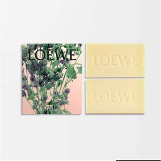 LOEWE - 新品 ロエベ リキッドソープ トマトリーフ ハンドソープ 360ml