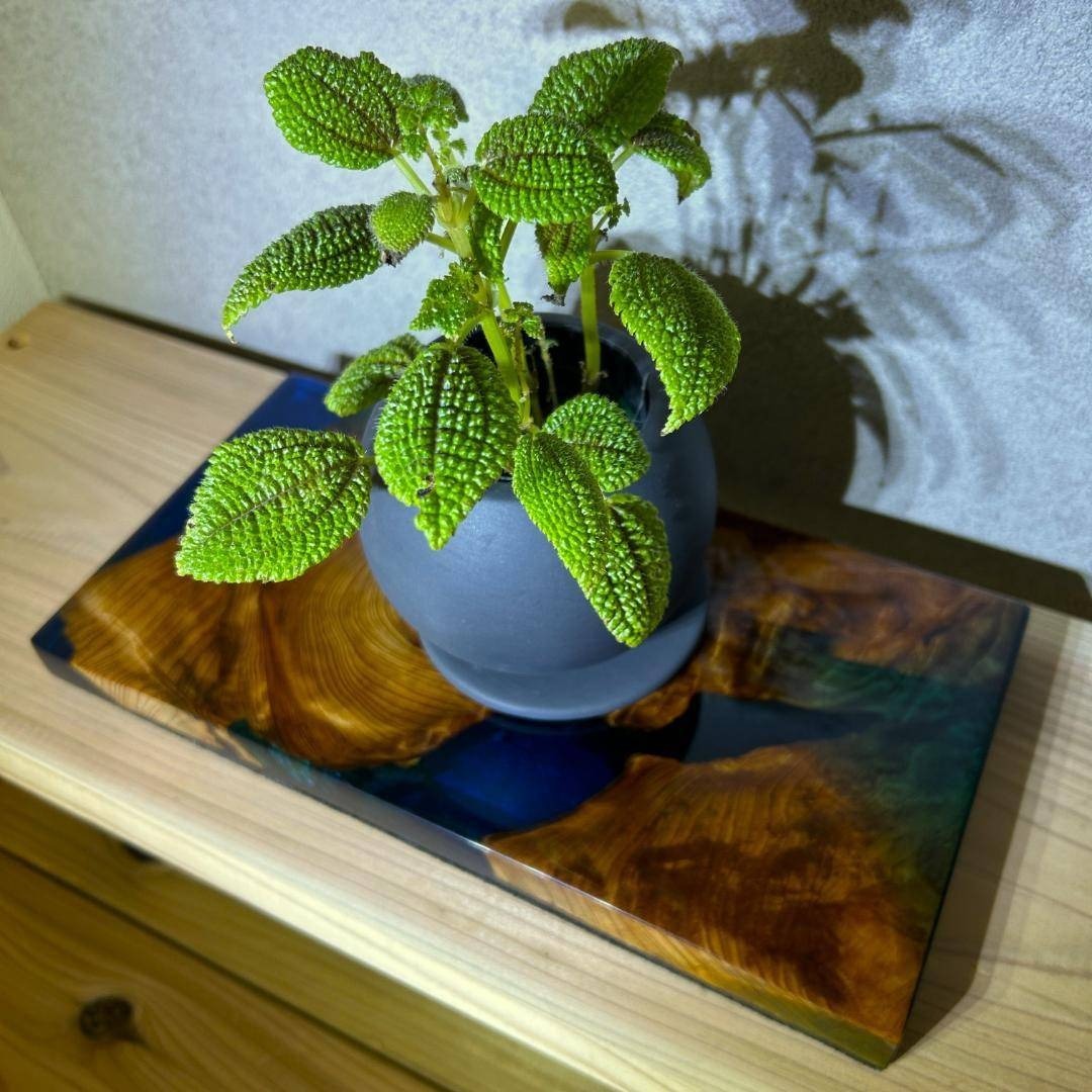 花台 飾り台 木製 フラワースタンド 敷板 インテリアトレイ トレー