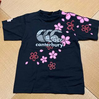 CANTERBURY - スーパーラグビー ライオンズ マーベルコラボジャージ