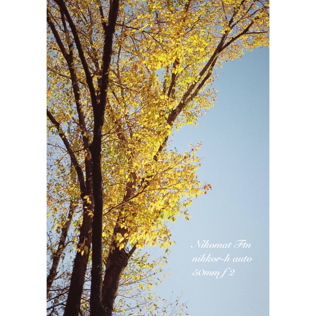 Nikon - nikon ftn＊black＊50mm f2☆完動品＊初期保証＊作例多数！の