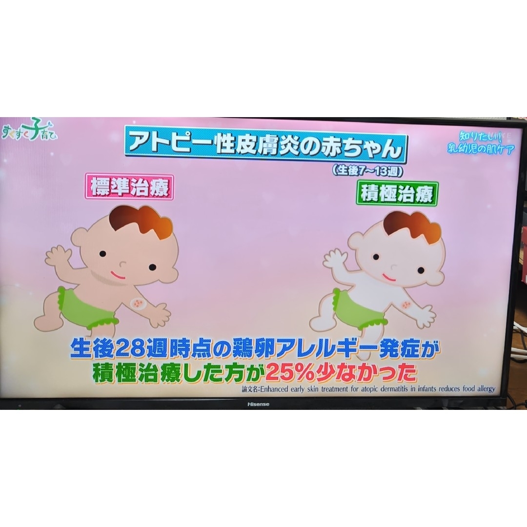 Hisense - Hisense ハイセンス 43A50 液晶テレビ 外付けHDD裏番組録画