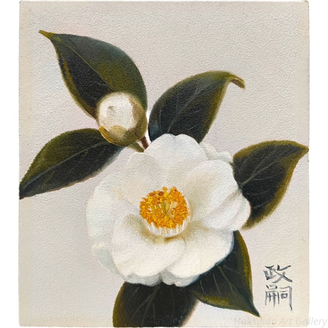 伊万里と絞椿 4号F 洋画家 小林政嗣 小林政嗣 「白椿」 油絵・油彩画