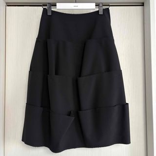 COMME des GARCONS - タオ コムデギャルソン / チュールスカートの通販