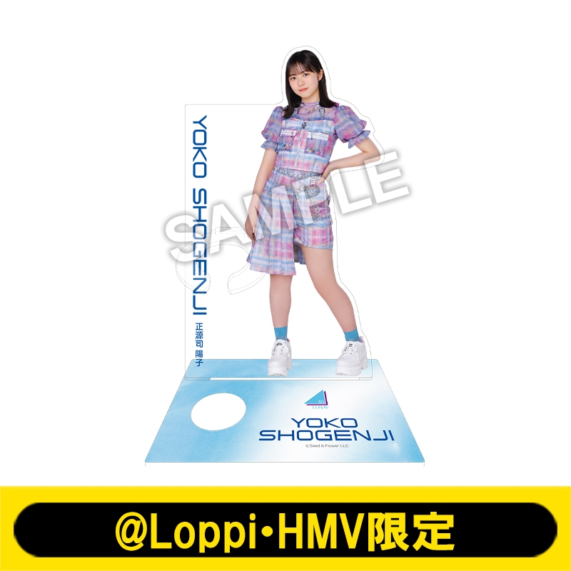 ペンライトスタンド（正源司 陽子）【@Loppi・HMV限定】 : 日向坂46