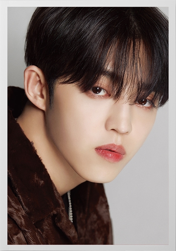 DICON D'FESTA SEVENTEEN S.COUPS version《全額内金》 : SEVENTEEN