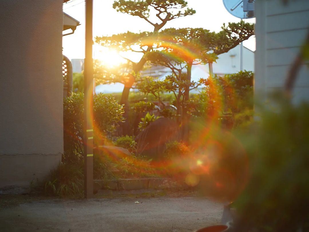 Super-Takumar 50mm F1.4を徹底解説。愛用者のレビュー・作例付き