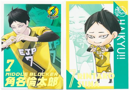 ハイキュー Vリーグver オールスターコレクション 箔押しカード 未開封