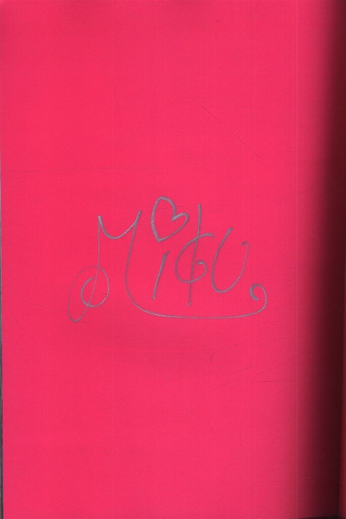 サイン入り 石田未来 pink 石田未来写真集