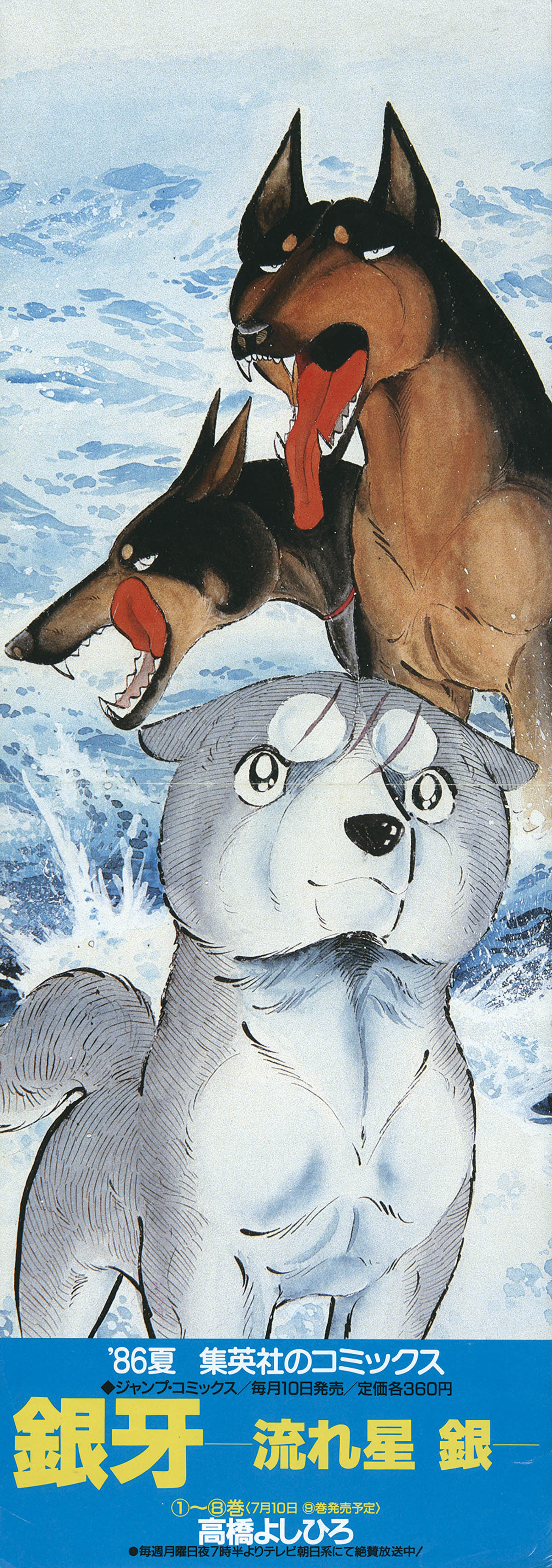 7218] '86夏 集英社のコミックス 銀牙 -流れ星 銀- 販促ポスター