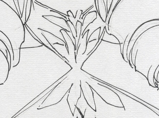 安藤智也直筆色紙「学園催眠隷奴」