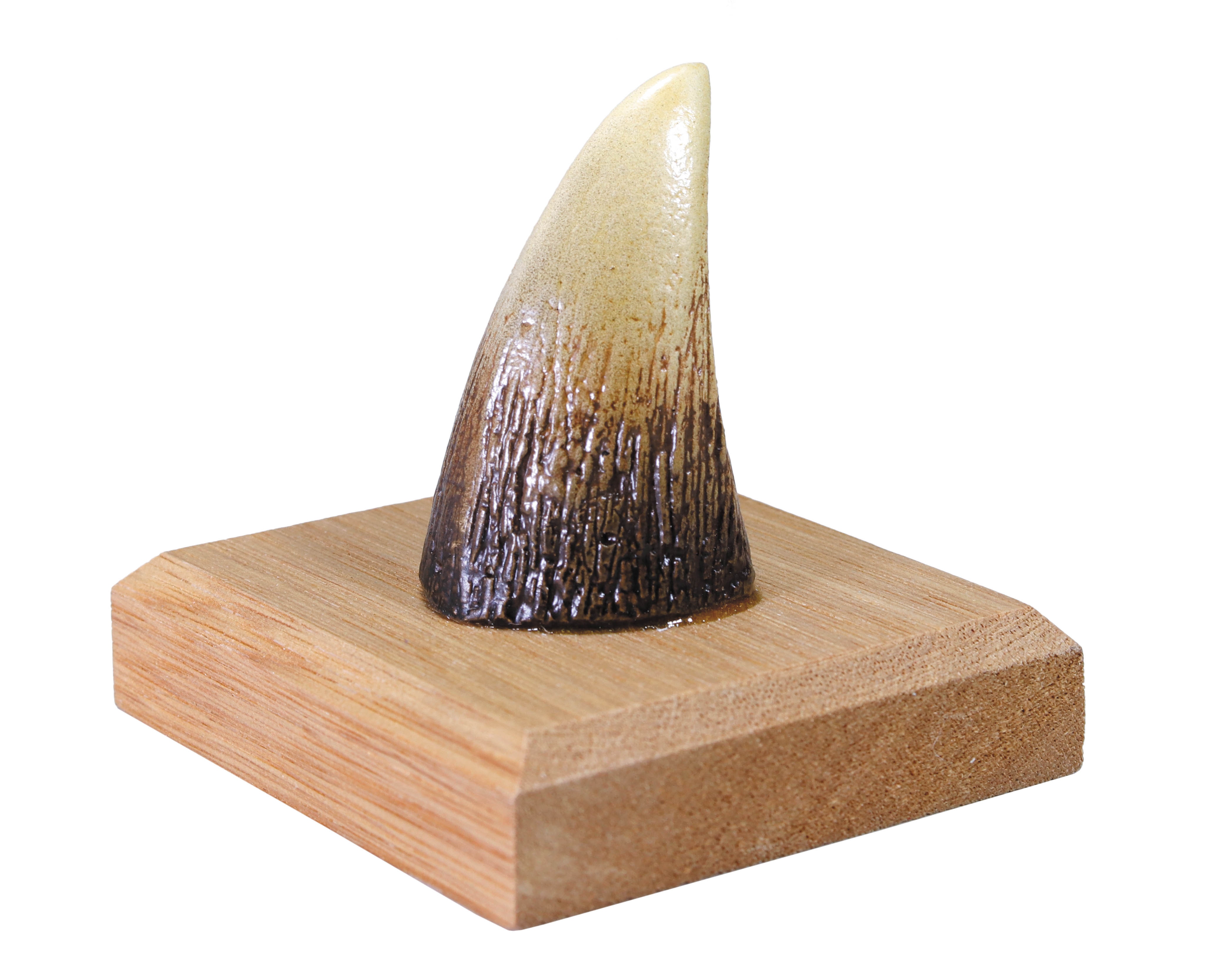 東宝映像美術 ゴジラ 手の爪 レプリカ