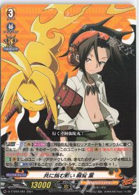 涼】デッキ解説 シャーマンキング【SHAMAN KING-麻倉葉】(1) | トレカ