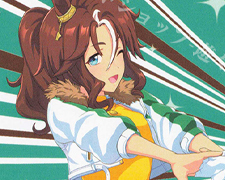 R 日下開山・花あかり サクラチヨノオー 販売 | ウマ娘 プリティー