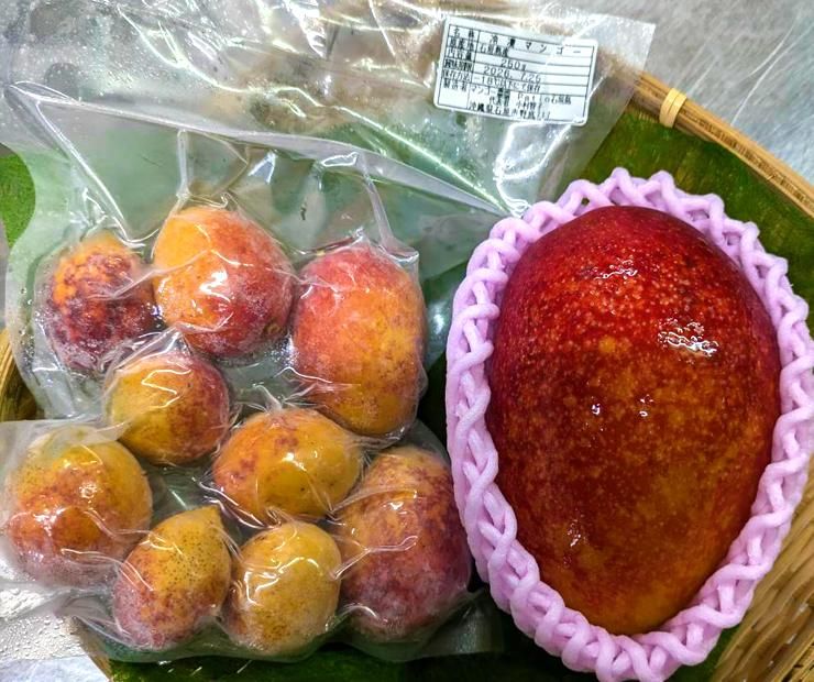 ミニマンゴー 皮付き 家庭用 冷凍 1kgの通販│パティオ石垣島公式