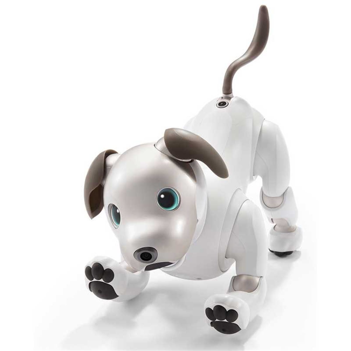 ソニー、オーナーに寄り添うロボット犬「aibo（アイボ）」を198,000円