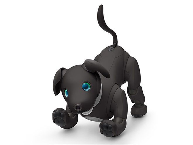 ソニー、「aibo（アイボ）」の2023年カラー「エスプレッソ