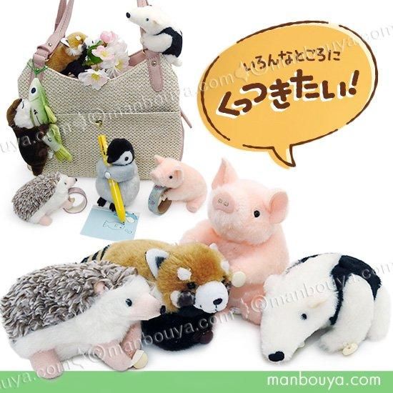 動物 ぬいぐるみ 吉徳 くつきたい！ ハリネズミ レッサーパンダ