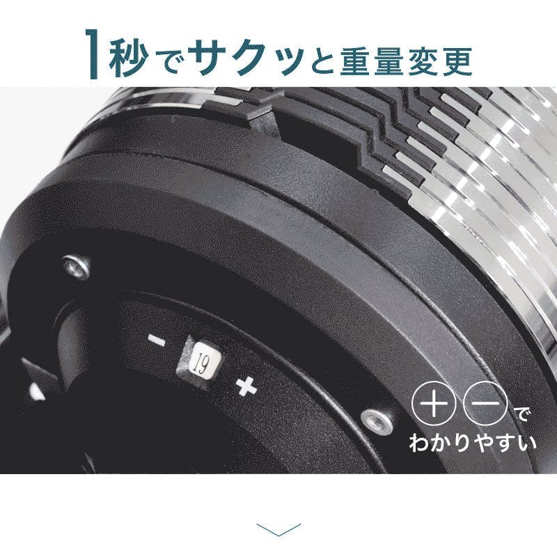 ライシン ヘリックスミラー 32kg 1kg刻み シルバー 2個 Lysin