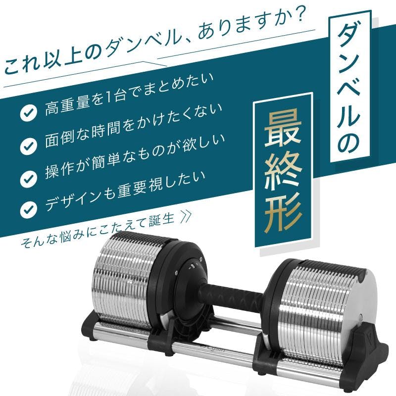 ライシン ヘリックスミラー 40kg 1kg刻み シルバー 2個 Lysin