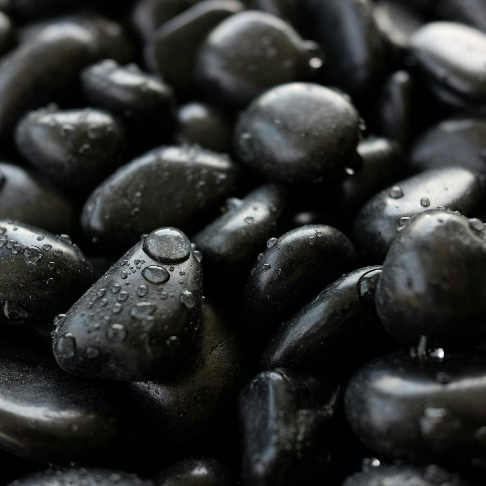 TAIKOH 高級黒玉石 黒光石 5分 16-22mm 10kg 化粧砂利 ブラック 黒