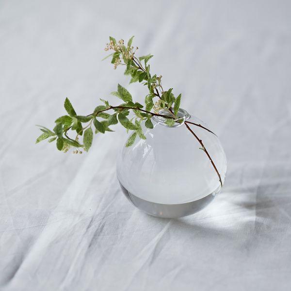 みずのうつわ O XSサイズ -茎の細い草花も美しくいけられる、小さな