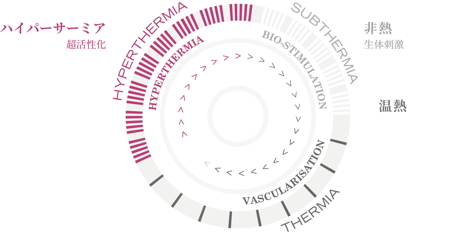 INDIBA Deep Beauty 部品のみ DEEP BEAUTY | INDIBA JAPAN