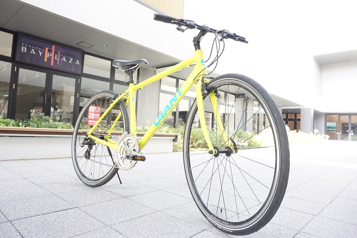 TOPICS & EVENT | island eye アイランド アイ