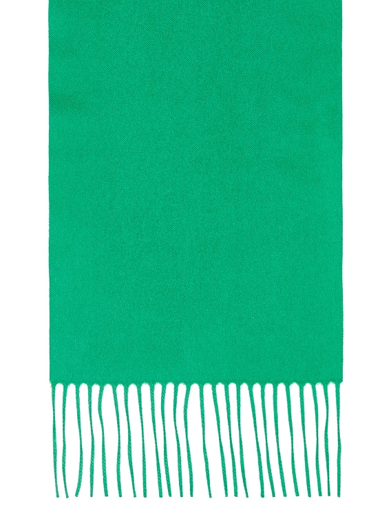 The Row Viktor Scarf in Green | FWRD
