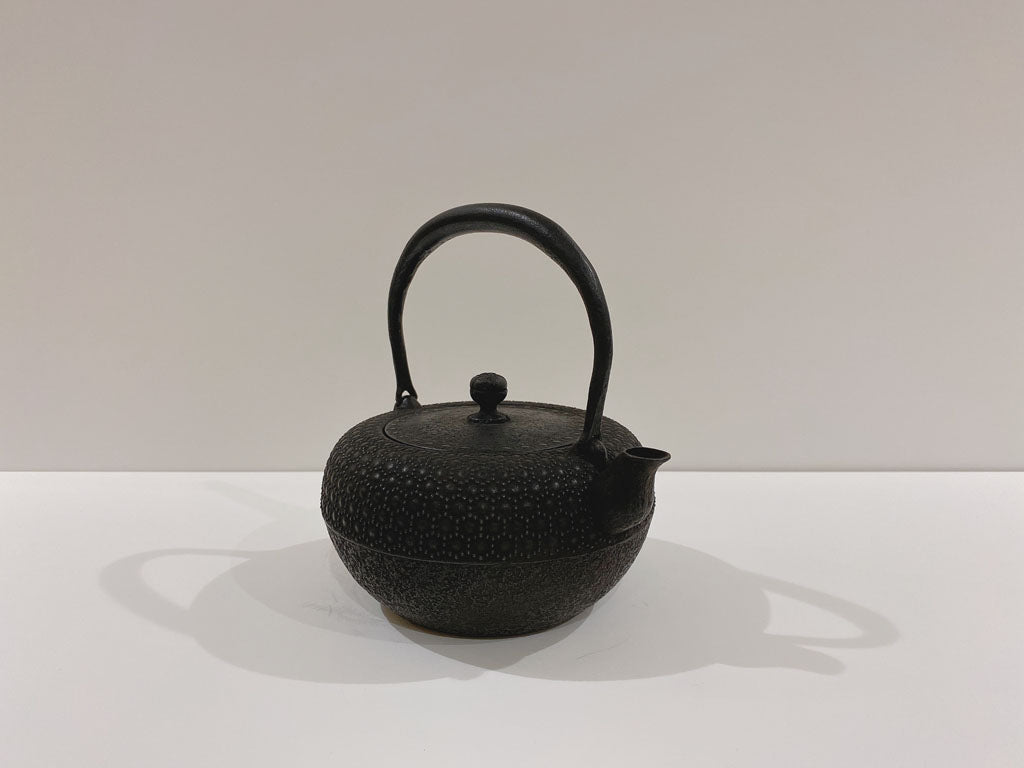 鉄瓶 9型姥口亀甲