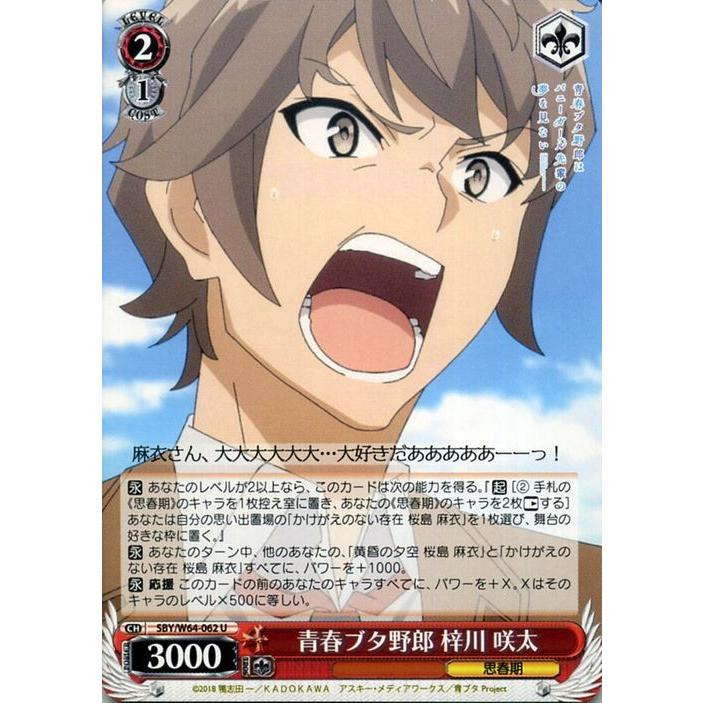 ヴァイスシュヴァルツ 青春ブタ野郎はバニーガール先輩の夢を見ない