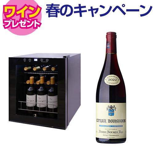 ワインセラー スタイルクレア イニッチオ inizio SI-01 ワインクーラー