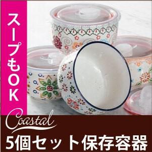 coastal 保存容器 5セット フタ付き容器 陶器 冷蔵庫 冷凍庫 電子