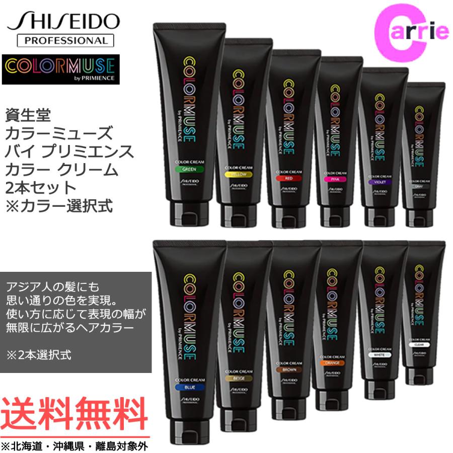 SHISEIDO PROFESSIONAL（資生堂プロフェッショナル） 2本セット