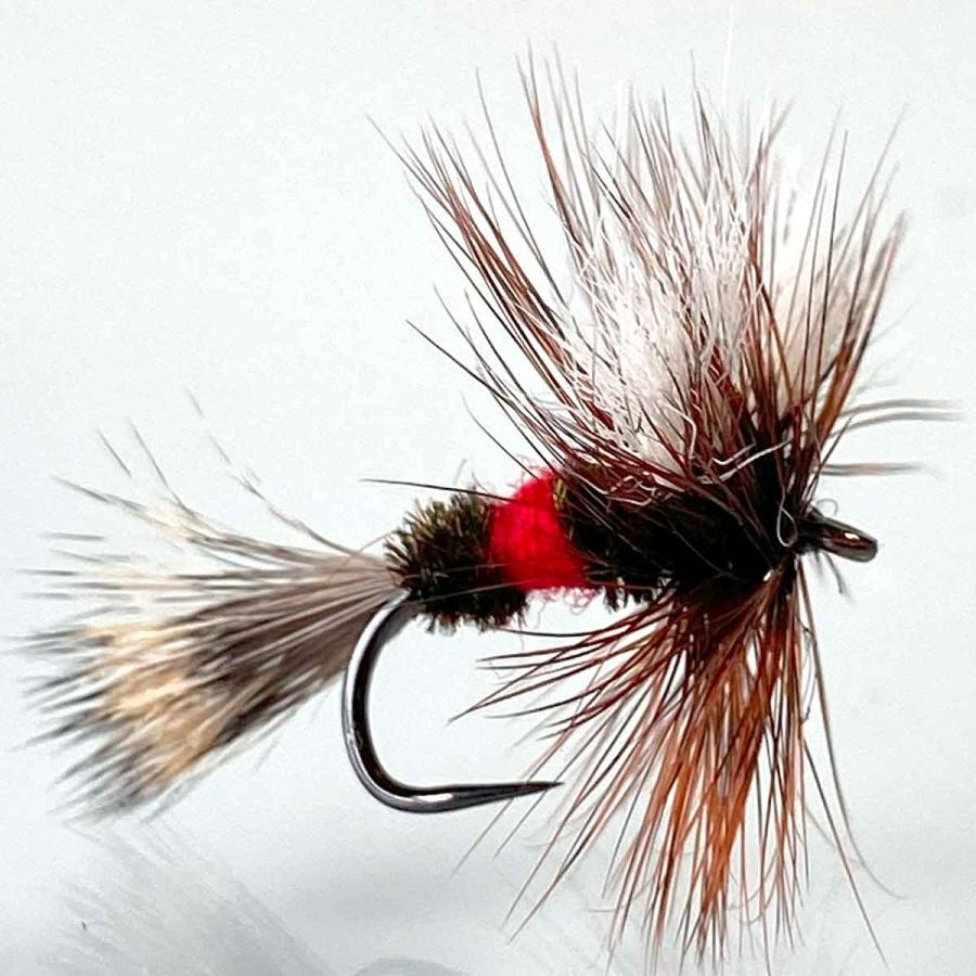 ロイヤルウルフ (#10 #12 #14 #16 #18) フライ フライフィッシング