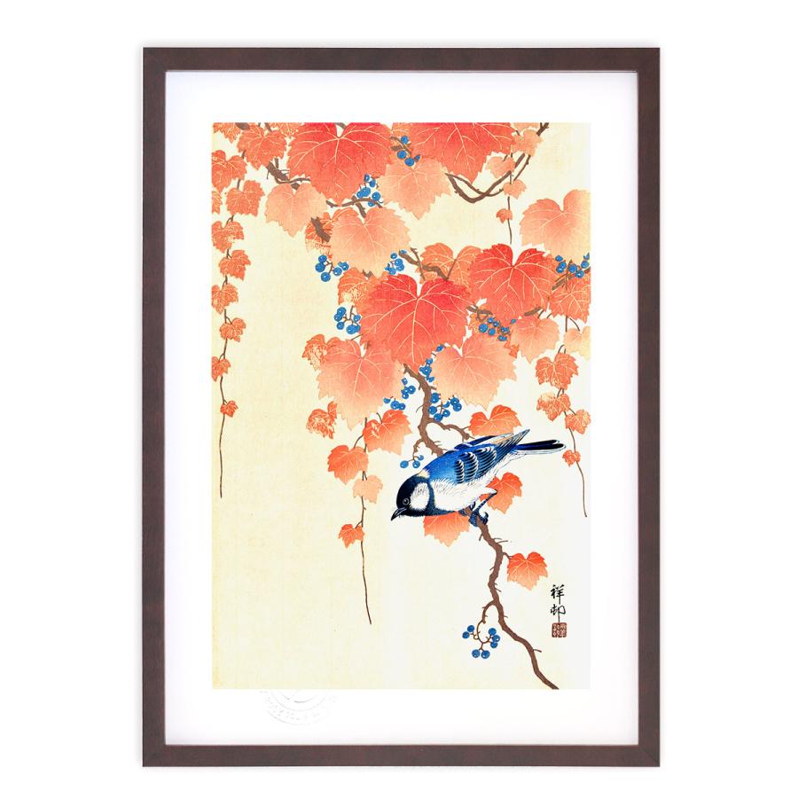 版画 絵画 名画 日本画 蔦に四十雀 小原古邨 インテリア 壁掛け 額入り