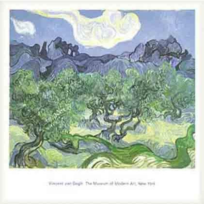 ポスター アート オリーブの林 1889（フィンセント ファン ゴッホ